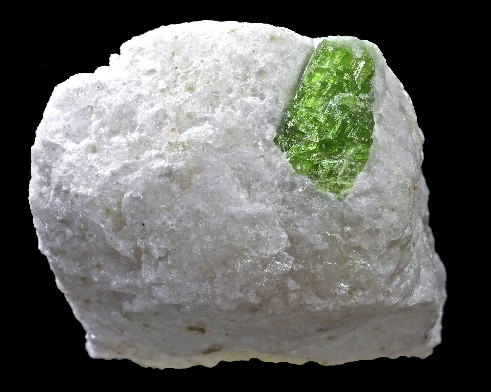 Pargasita
5,5 x 4,2 cm.
(Autor: Xavier bordas)