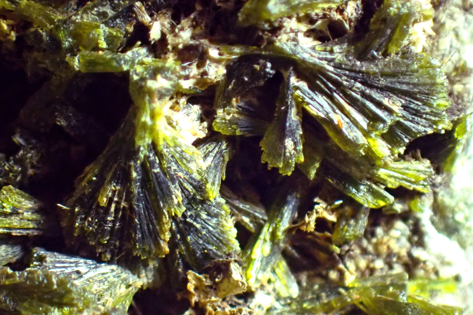 Epidota
Medida: 6,7 x 5,3 x 3,3 cms
(Autor: Joan Martinez Bruguera)