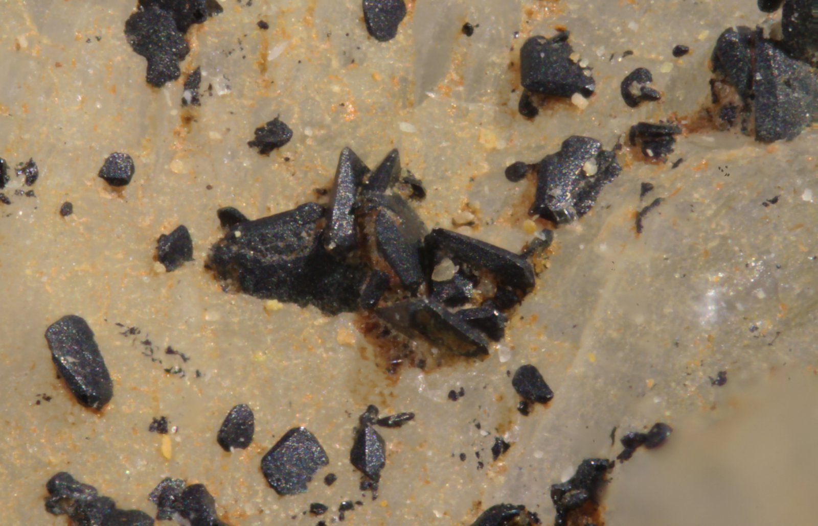 Cechita
Cristal mayor 0,8 mm
(Autor: Jorgina-Agusti-Màrius)