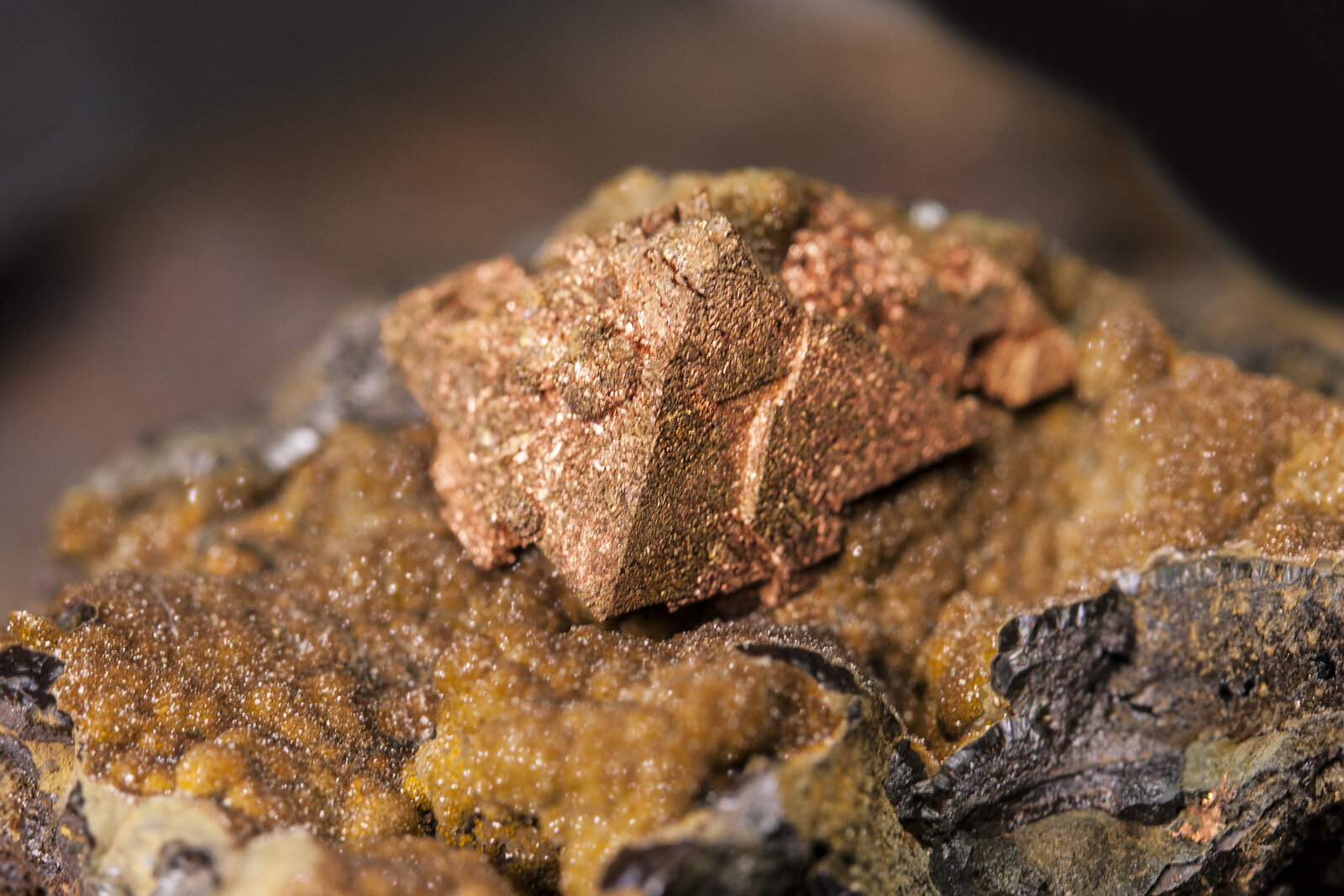 Cobre
Boinás Este, Boinás, Belmonte de Miranda, Comarca Oviedo, Principado de Asturias (Asturias), España
Cristal de 8 mm
(Autor: Manuel Mesa)