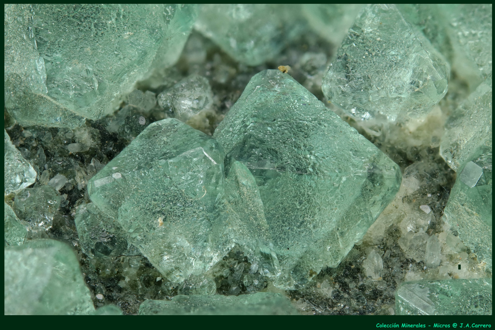 Fluorita
FoV: 3 x 2 mm
(Autor: Jose Angel Carrero)
