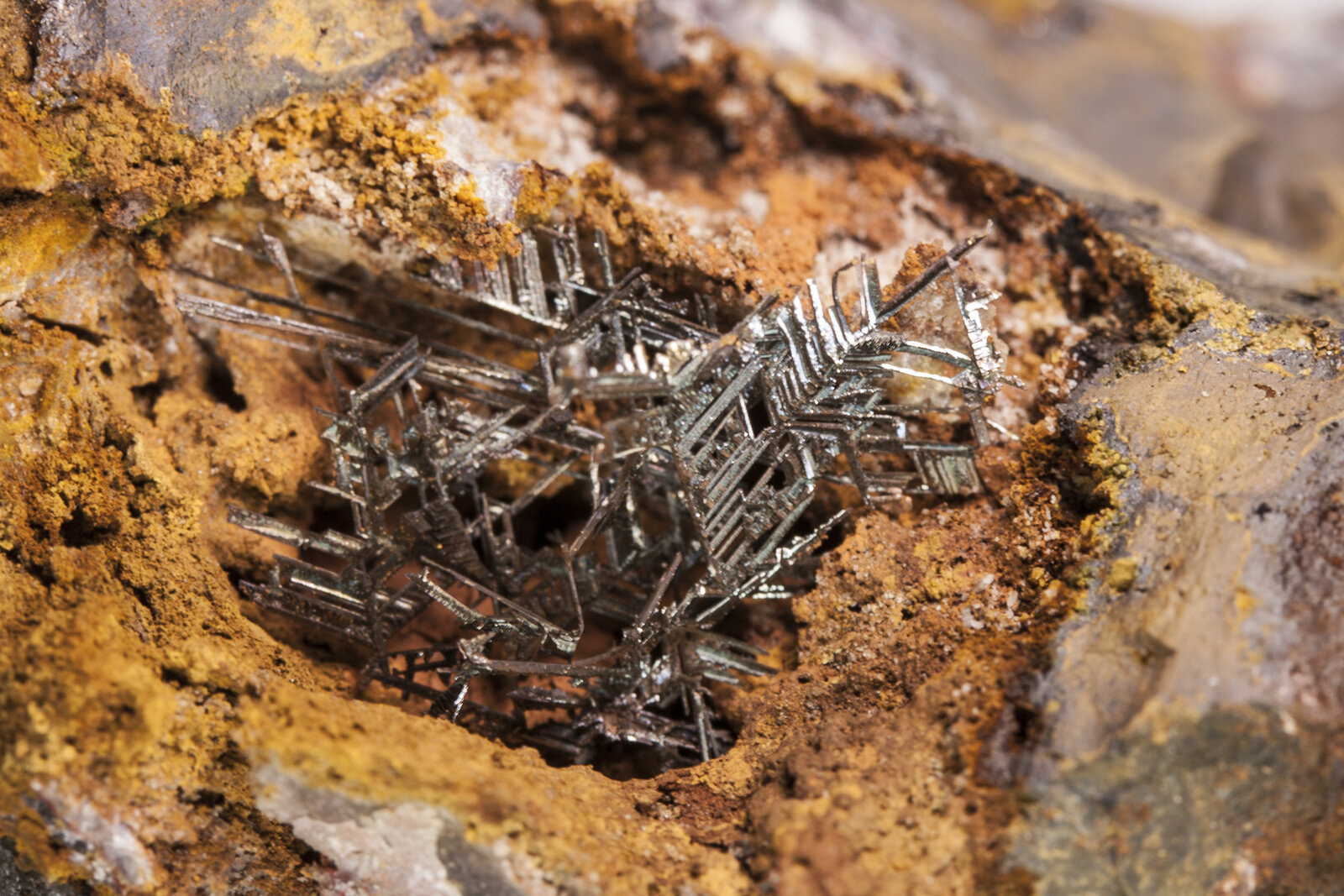 Cobre
Mina El Valle, Plataforma 488, Begega, Belmonte de Miranda, Comarca Oviedo, Principado de Asturias (Asturias), España
Detalle de 4x3 cm
(Autor: Manuel Mesa)