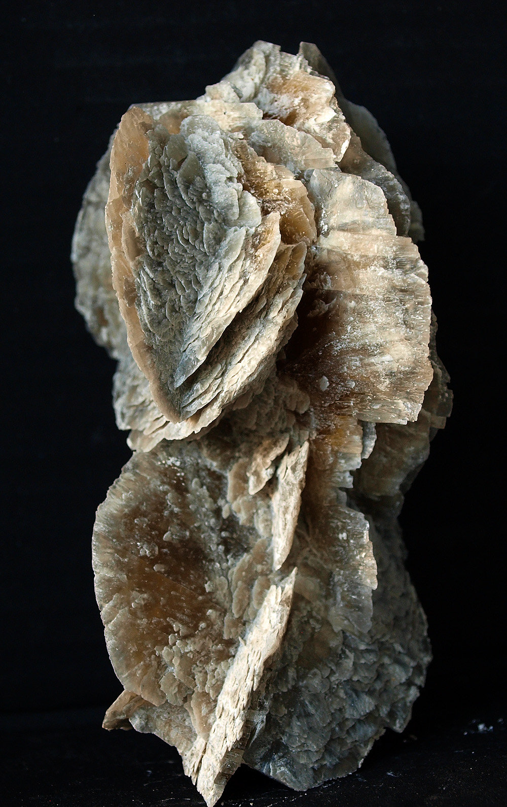 Yeso
11 x 7.5 cm
(Autor: Pedro Antonio)