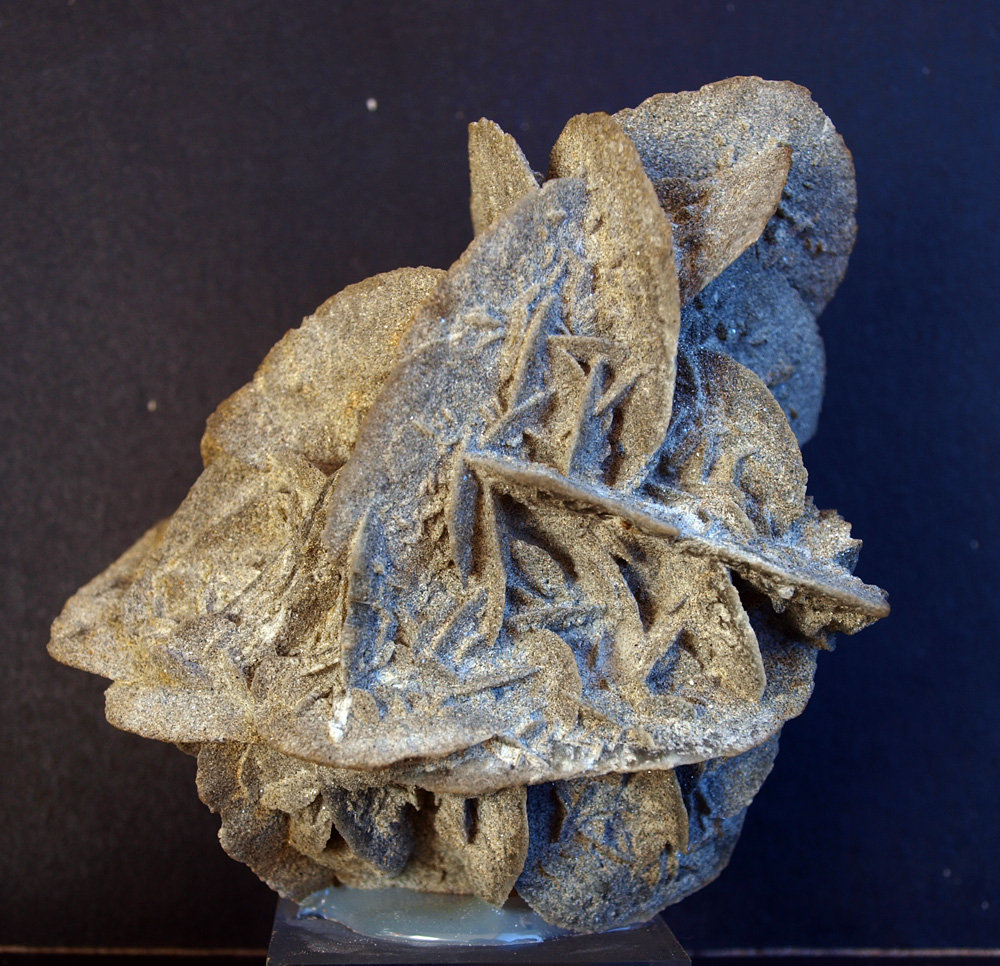Yeso
9 x 8 cm
(Autor: Pedro Antonio)