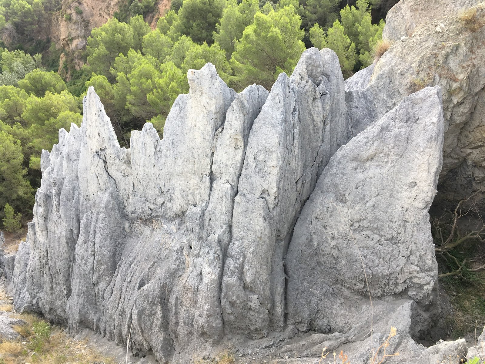 Pizarras
(Autor: Emilio Téllez)