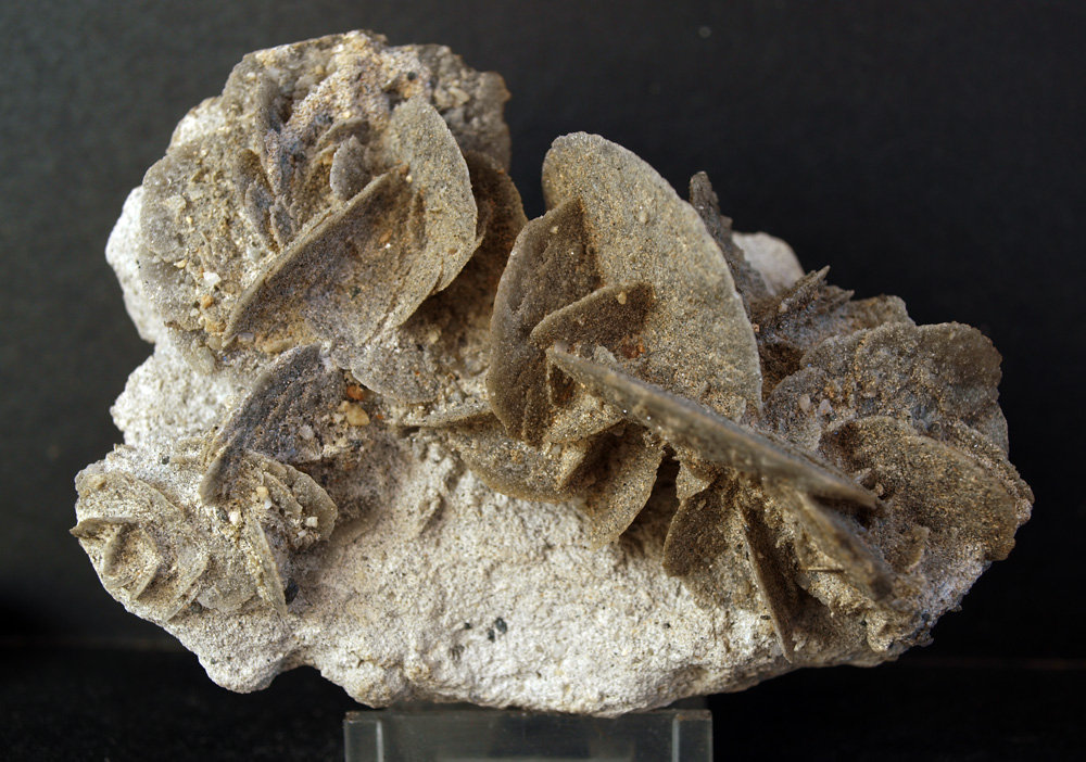 Yeso
10 x 7 cm
(Autor: Pedro Antonio)