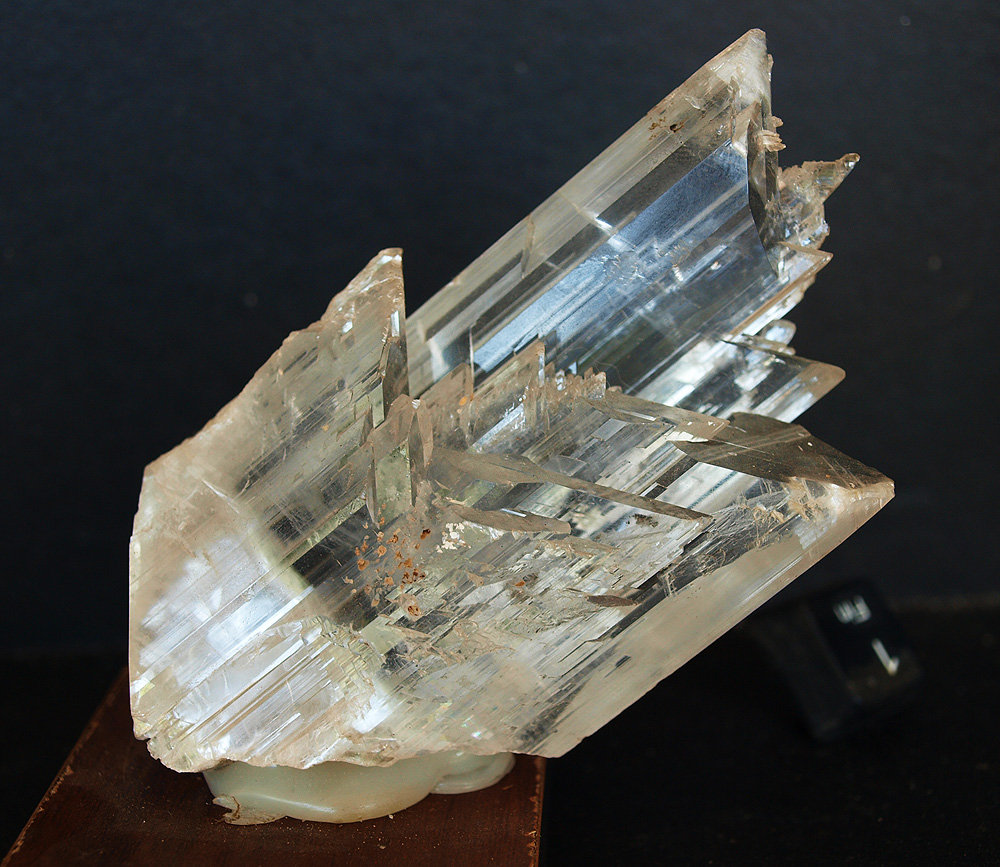 Yeso
9.5 x 5 cm
(Autor: Pedro Antonio)