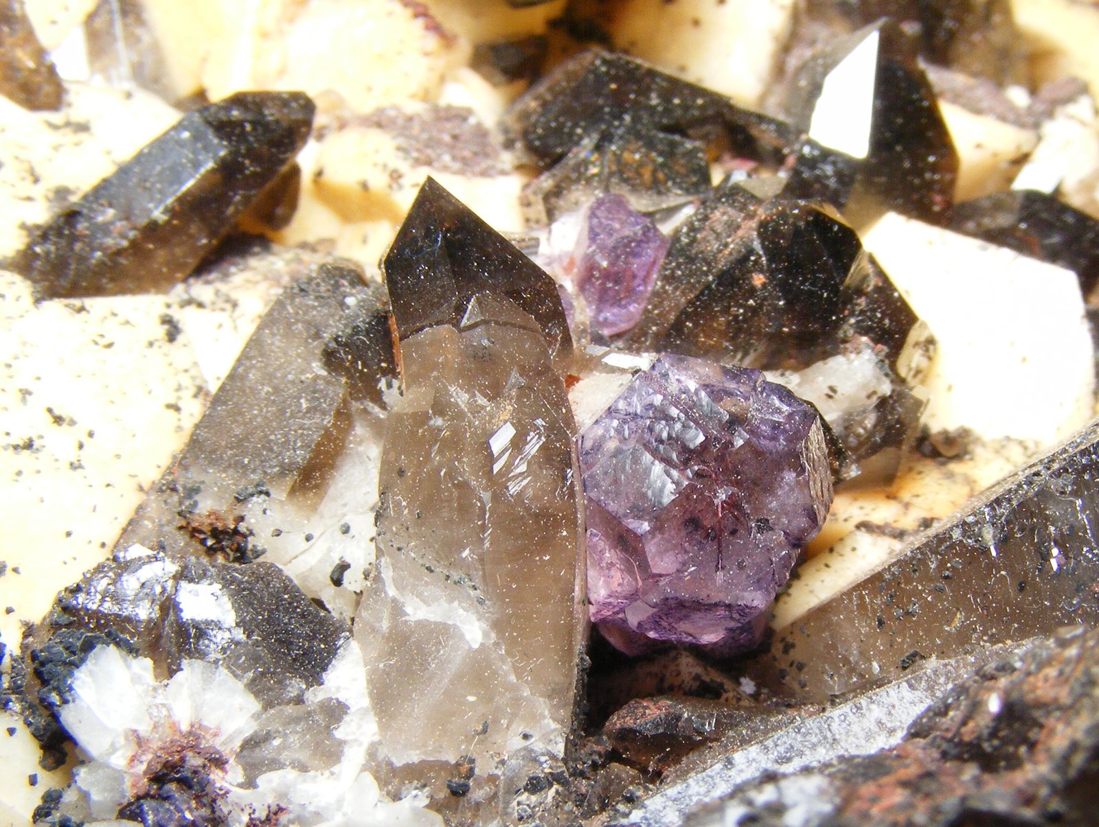 Fluorita
1cm
(Autor: yowanni)