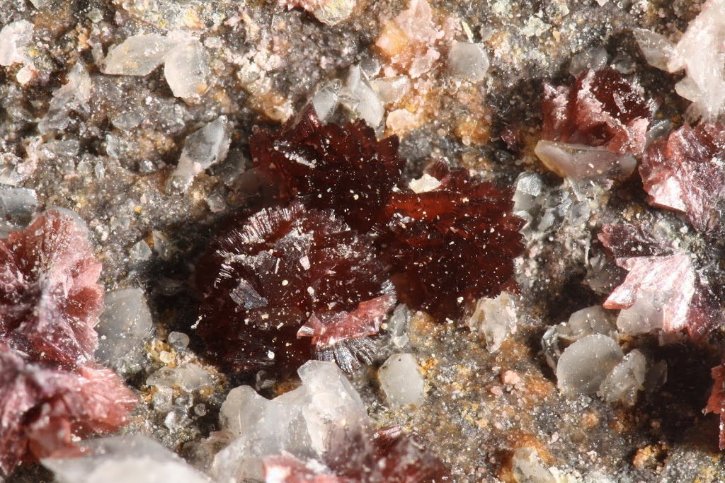 Eritrita (Eritrina)
Esferas 2 mm
(Autor: Jorgina-Agusti-Màrius)