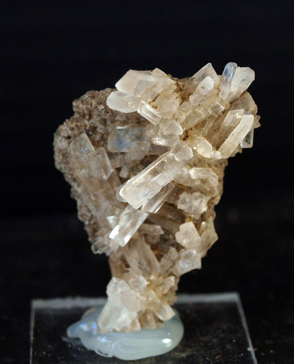 Celestina
4.5 x 3.5 cm
(Autor: Pedro Antonio)