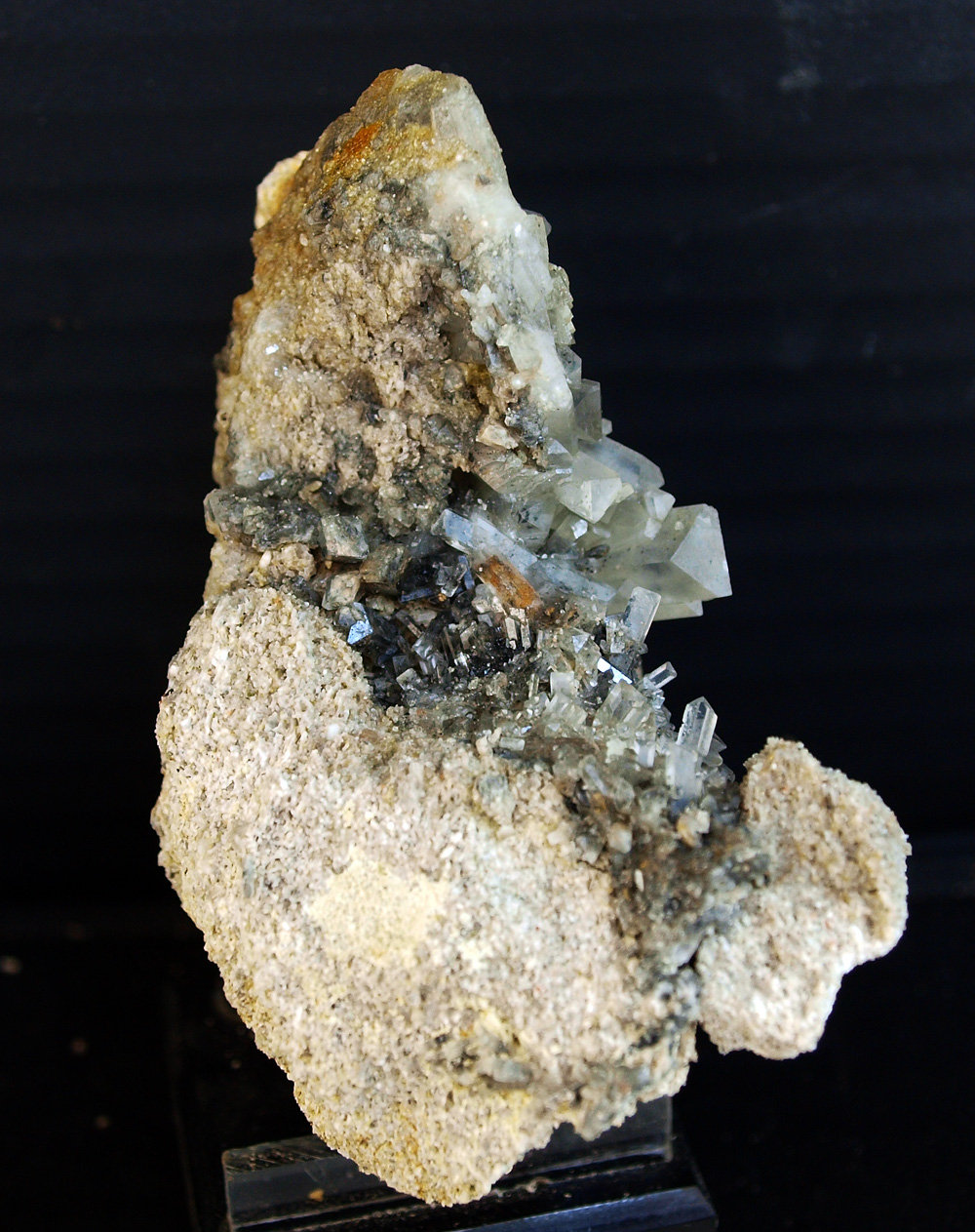 Celestina
8 x 5 cm
(Autor: Pedro Antonio)