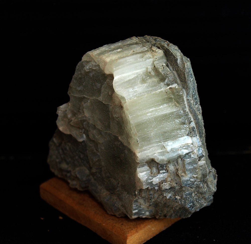 Celestina
6 x 7 cm
(Autor: Pedro Antonio)