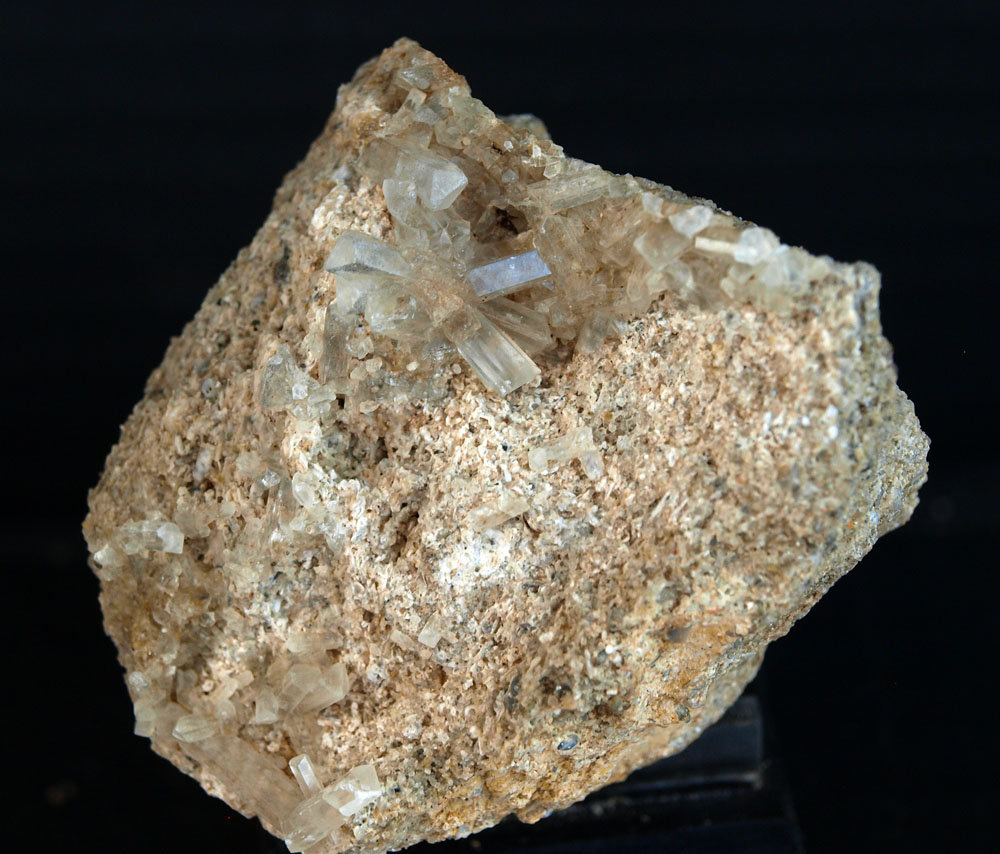 Celestina
5 x 4 cm
(Autor: Pedro Antonio)