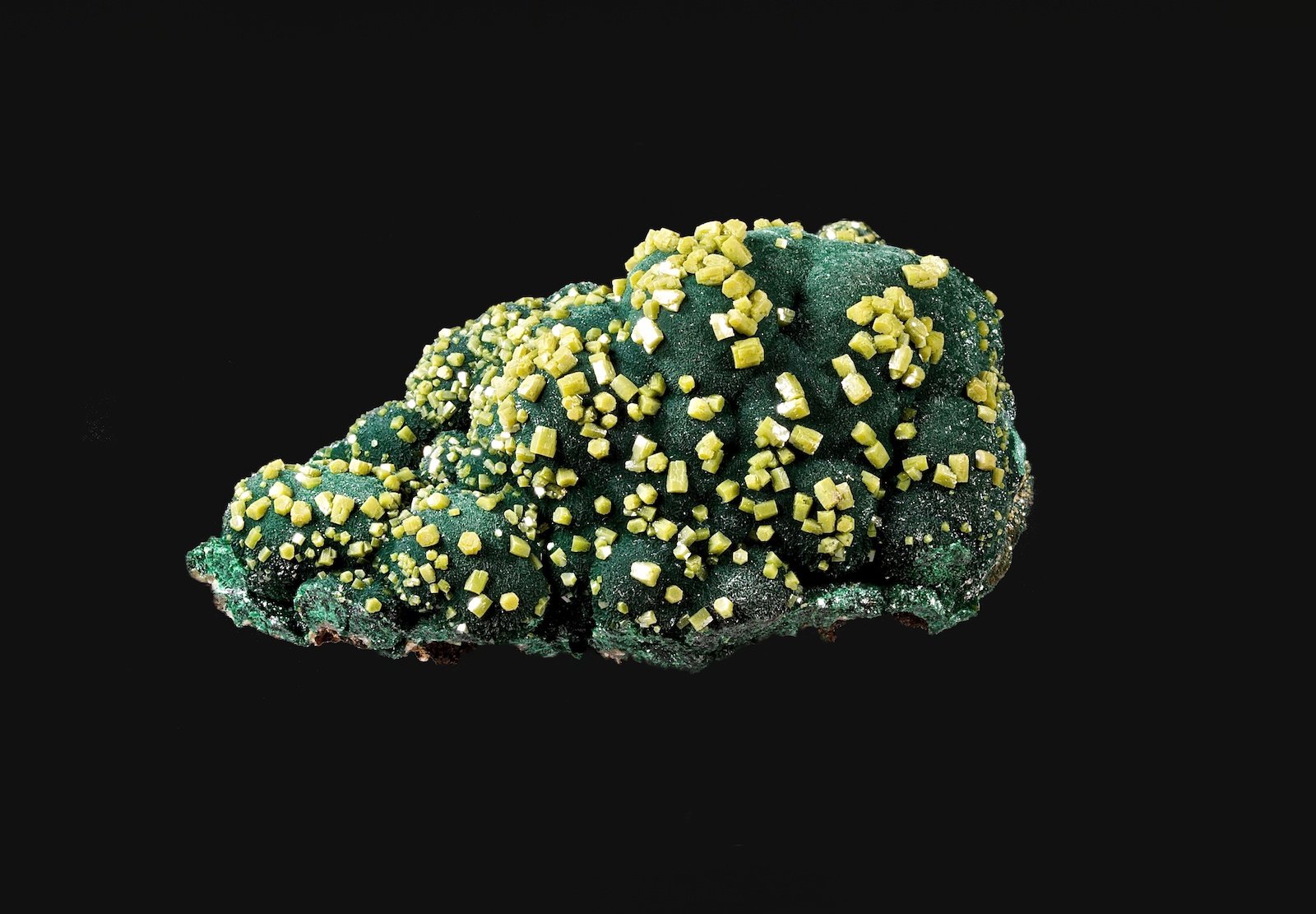 Piromorfita, Malaquita
6,3 x 4,8 cm.
(Autor: Xavier bordas)