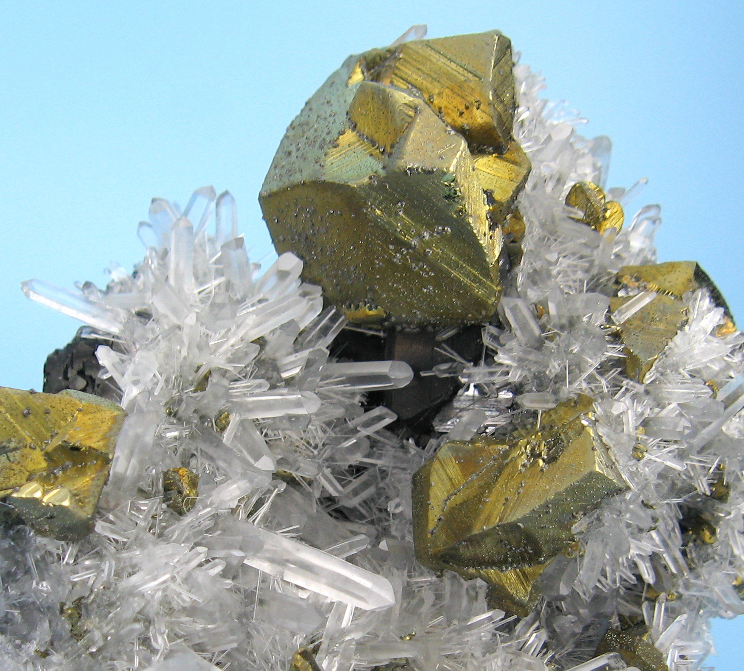 (Autor: Carles Millan)