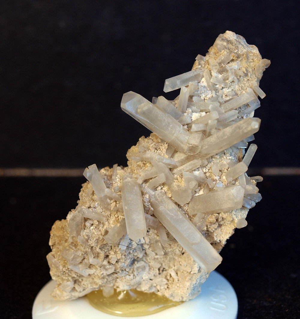 Celestina
6.5 x 3.5 cm
(Autor: Pedro Antonio)