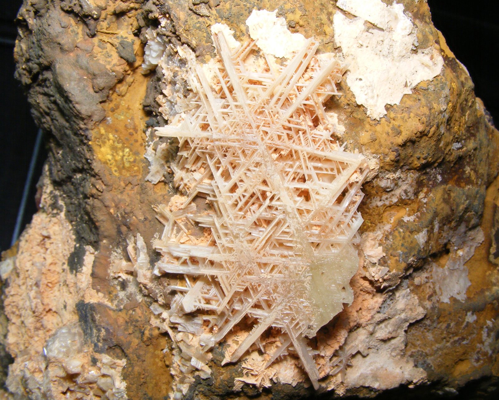 Cerusita
17cm xx 6.5cm
(Autor: yowanni)