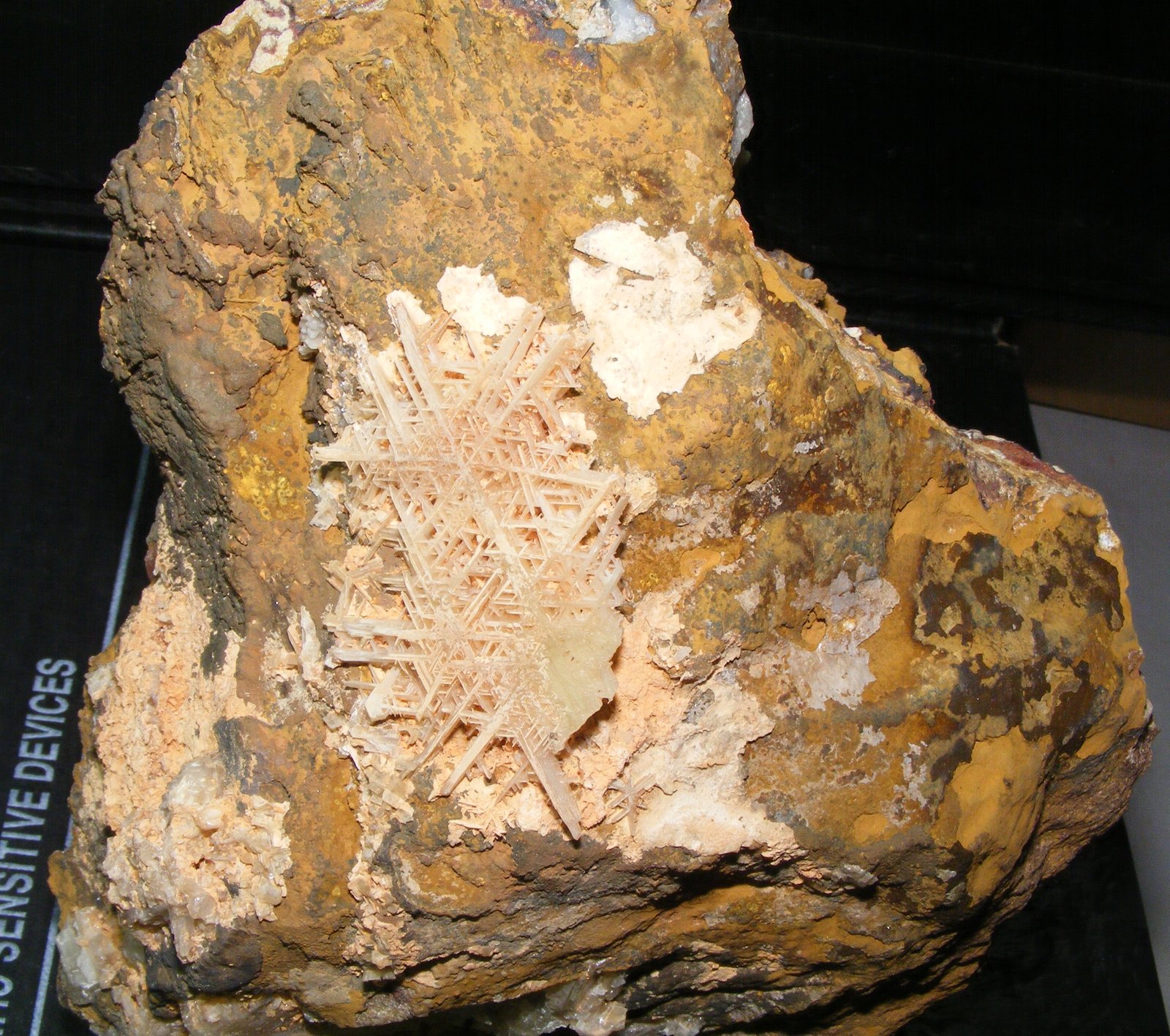 Cerusita
17cm xx 6.5cm
(Autor: yowanni)