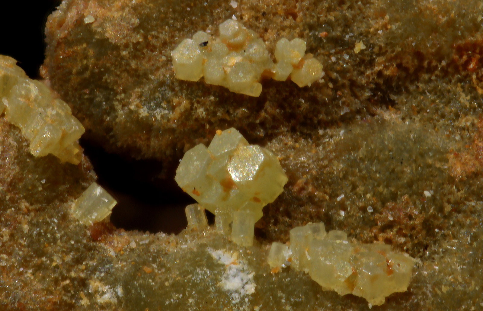 Piromorfita
2 mm
(Autor: Jorgina-Agusti-Màrius)