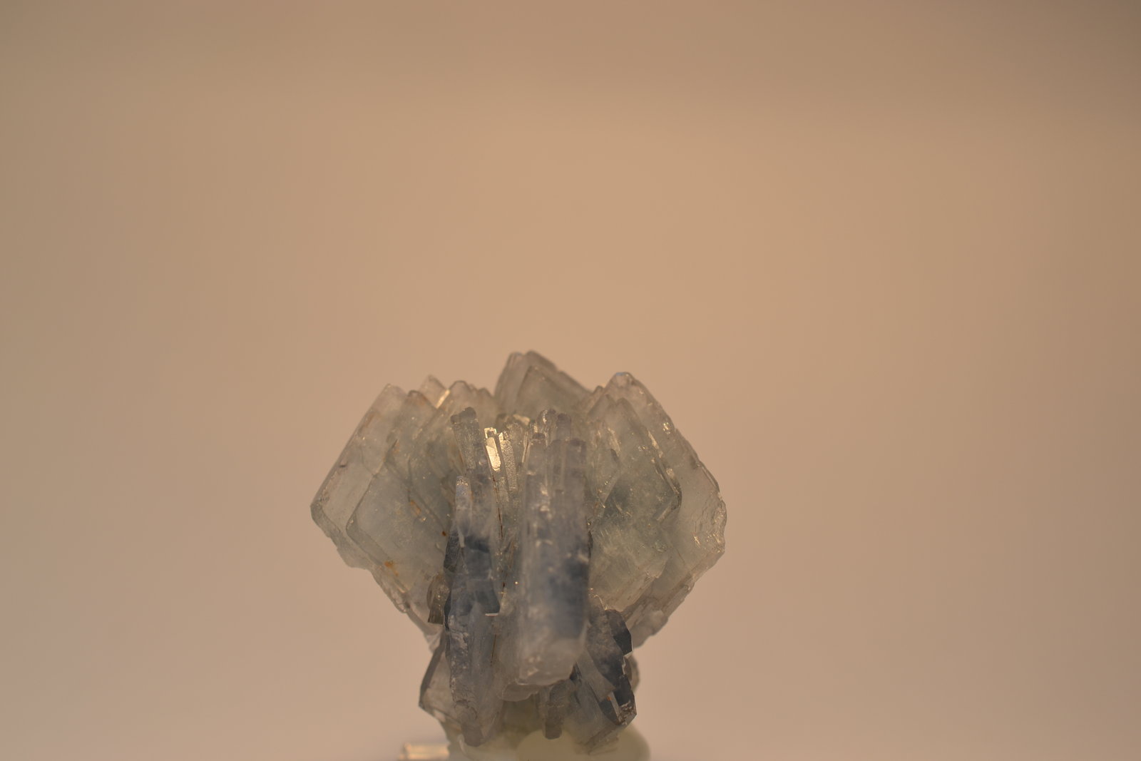 Barita
5x 5x 4,5 cm
(Autor: Raúl S. Llorente)