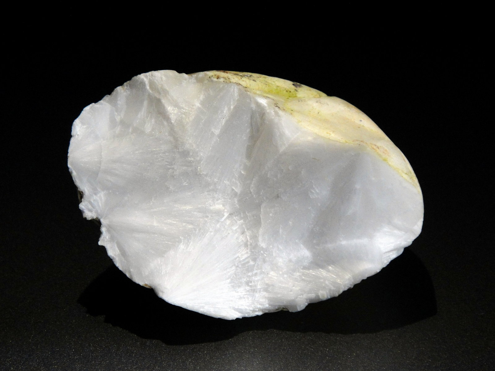 Escolecita
7 x 6 cm.
(Autor: Antonio P. López)