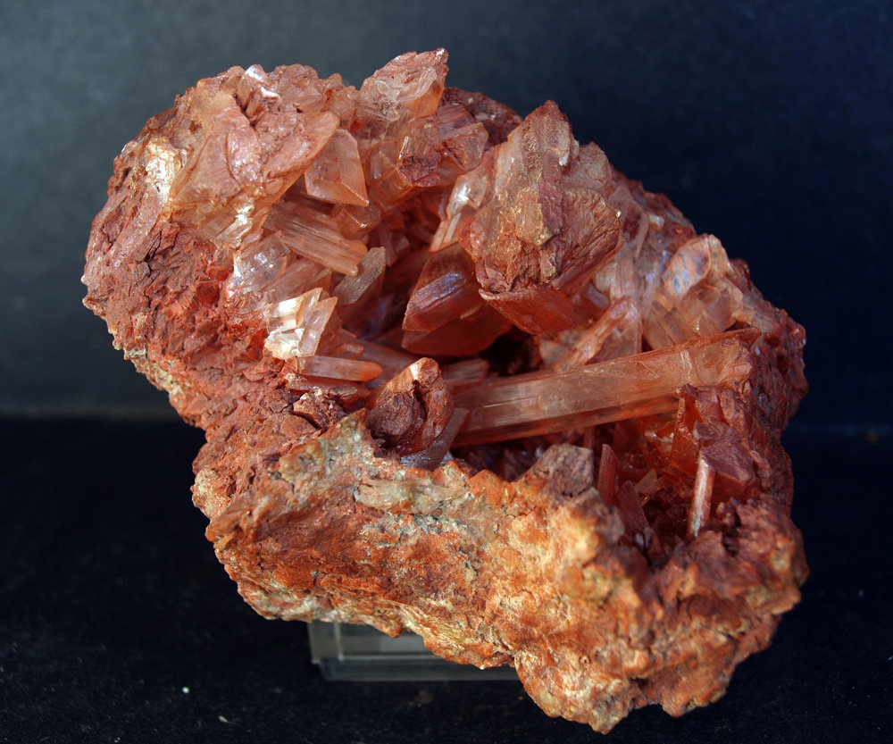 Yeso
9 x 6.5 cm
(Autor: Pedro Antonio)