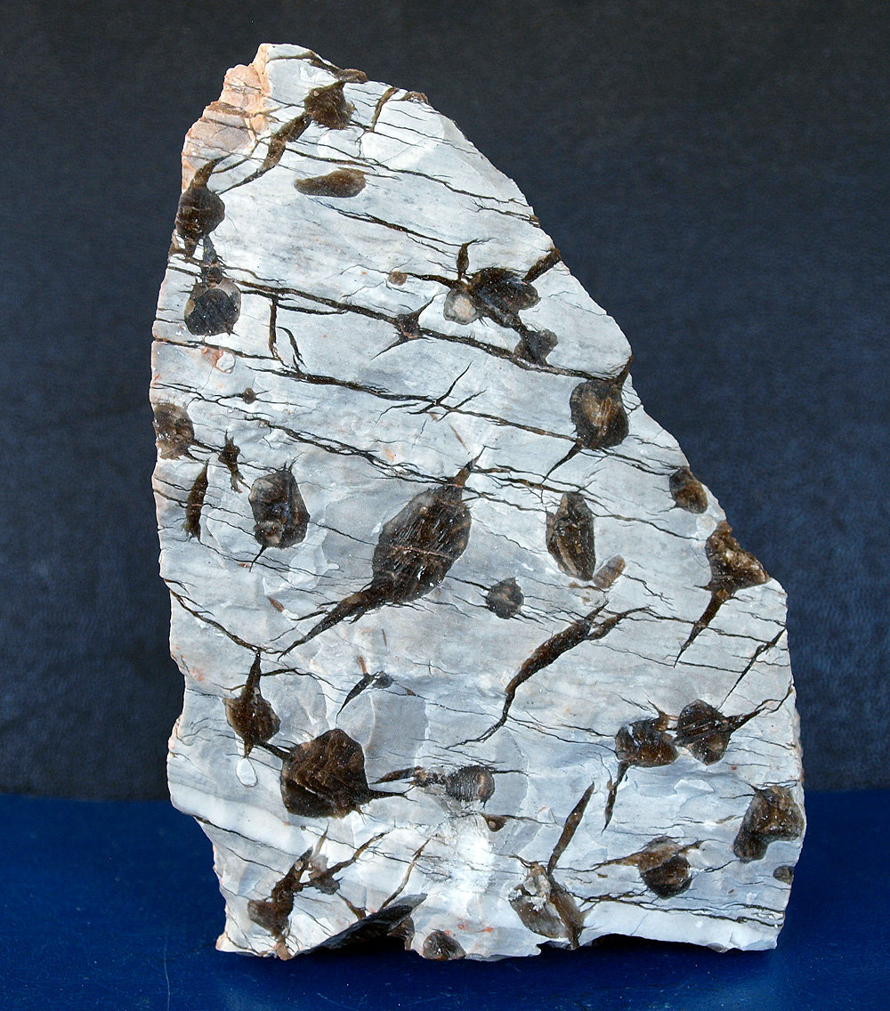 Yeso
16 x 10 cm
(Autor: Pedro Antonio)
