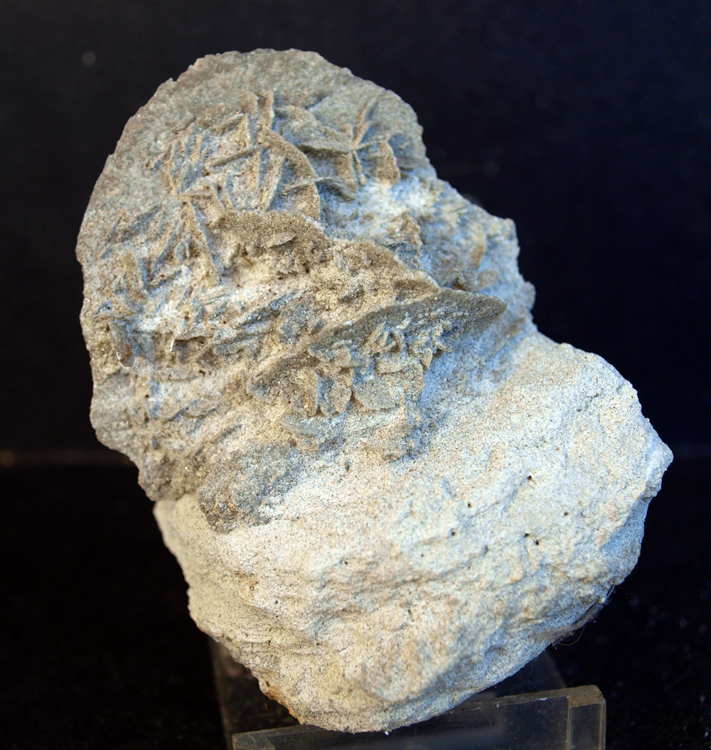 Yeso
7 x 5.5 cm
(Autor: Pedro Antonio)