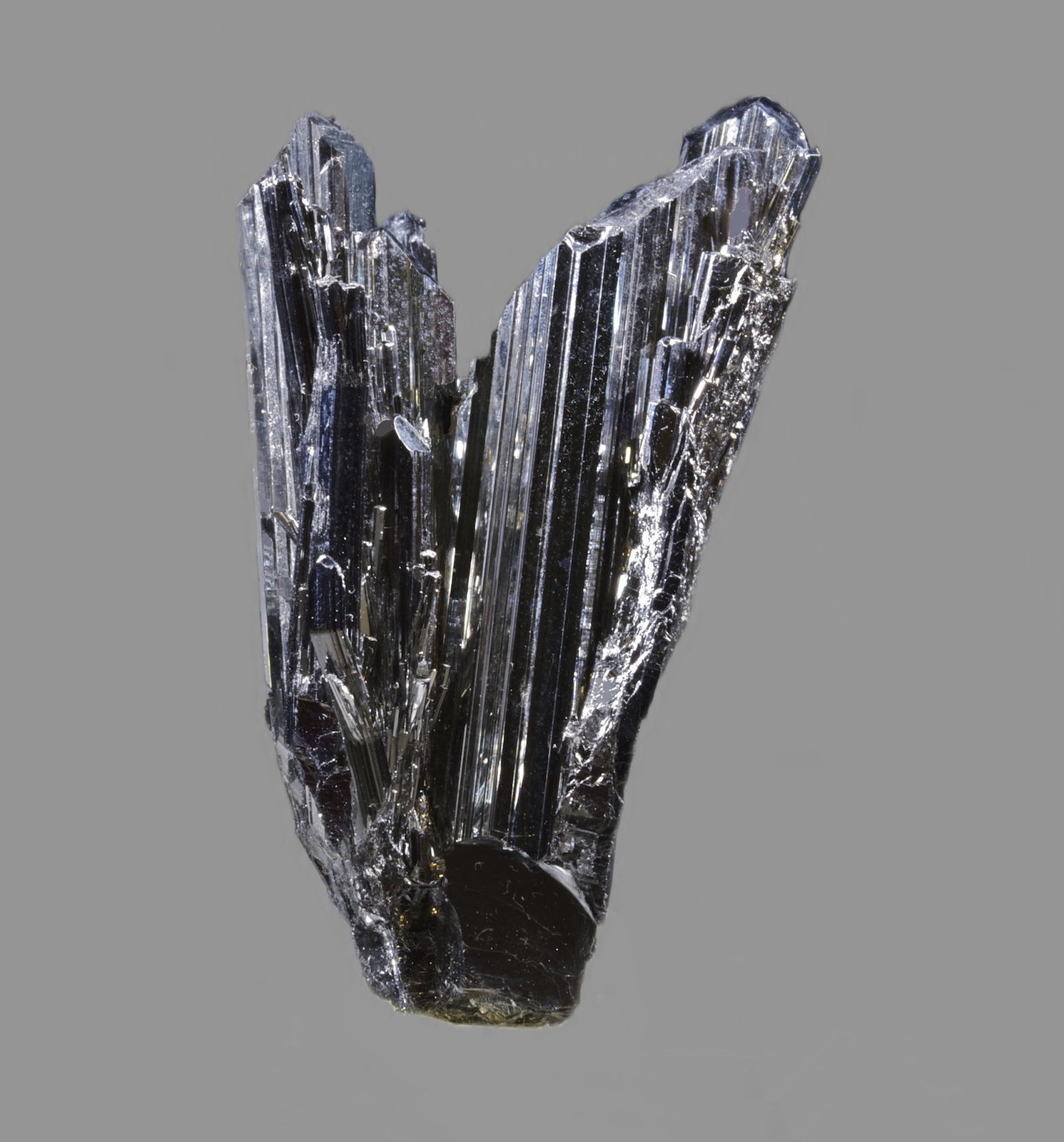 Stibnita (Estibina)
5,1 x 2,9 cm.
(Autor: Xavier bordas)