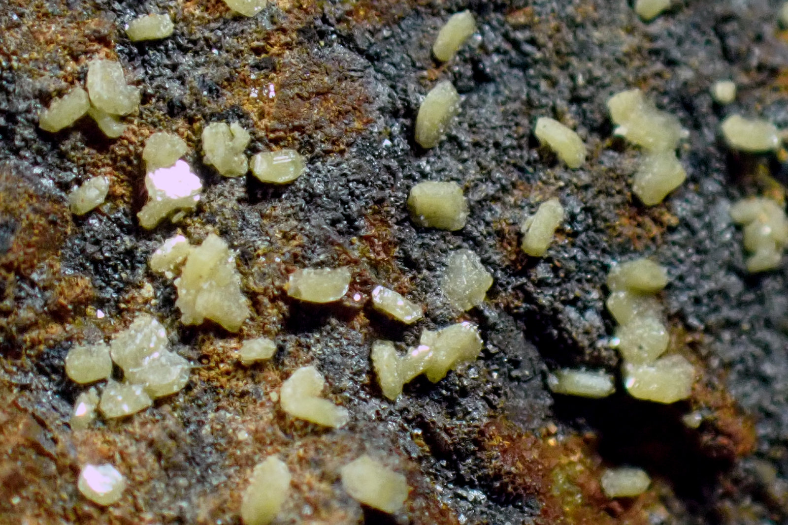 Wulfenita
Medida: 6,8 x 6,8 x 5,2 cms
(Autor: Joan Martinez Bruguera)