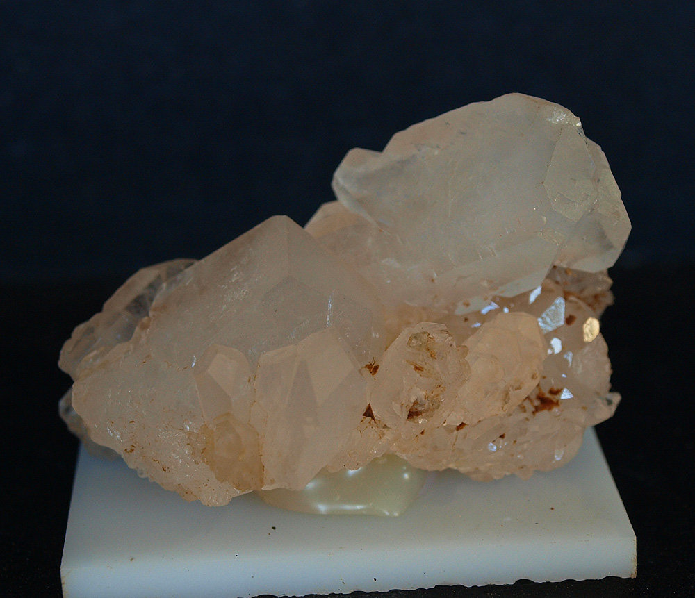 Celestina
5.5 x 3.5 cm
(Autor: Pedro Antonio)