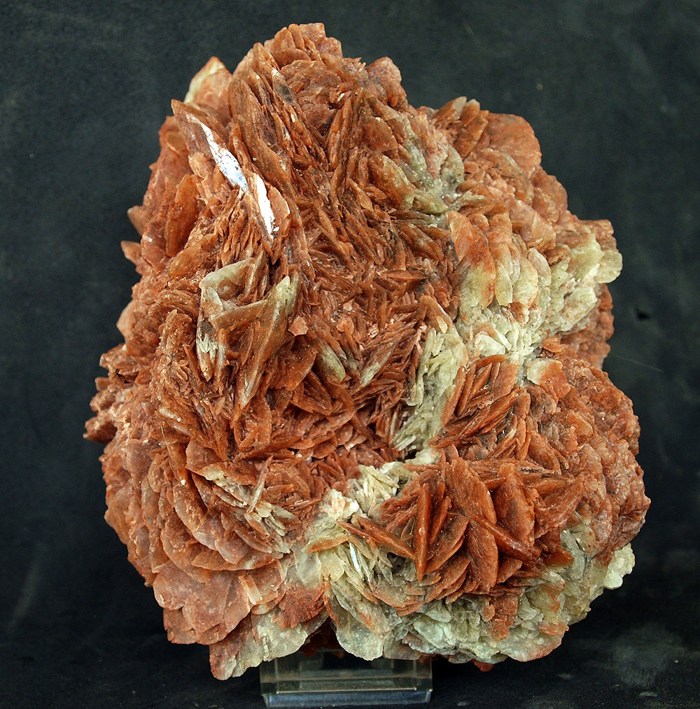Yeso
16 x 13 cm
(Autor: Pedro Antonio)