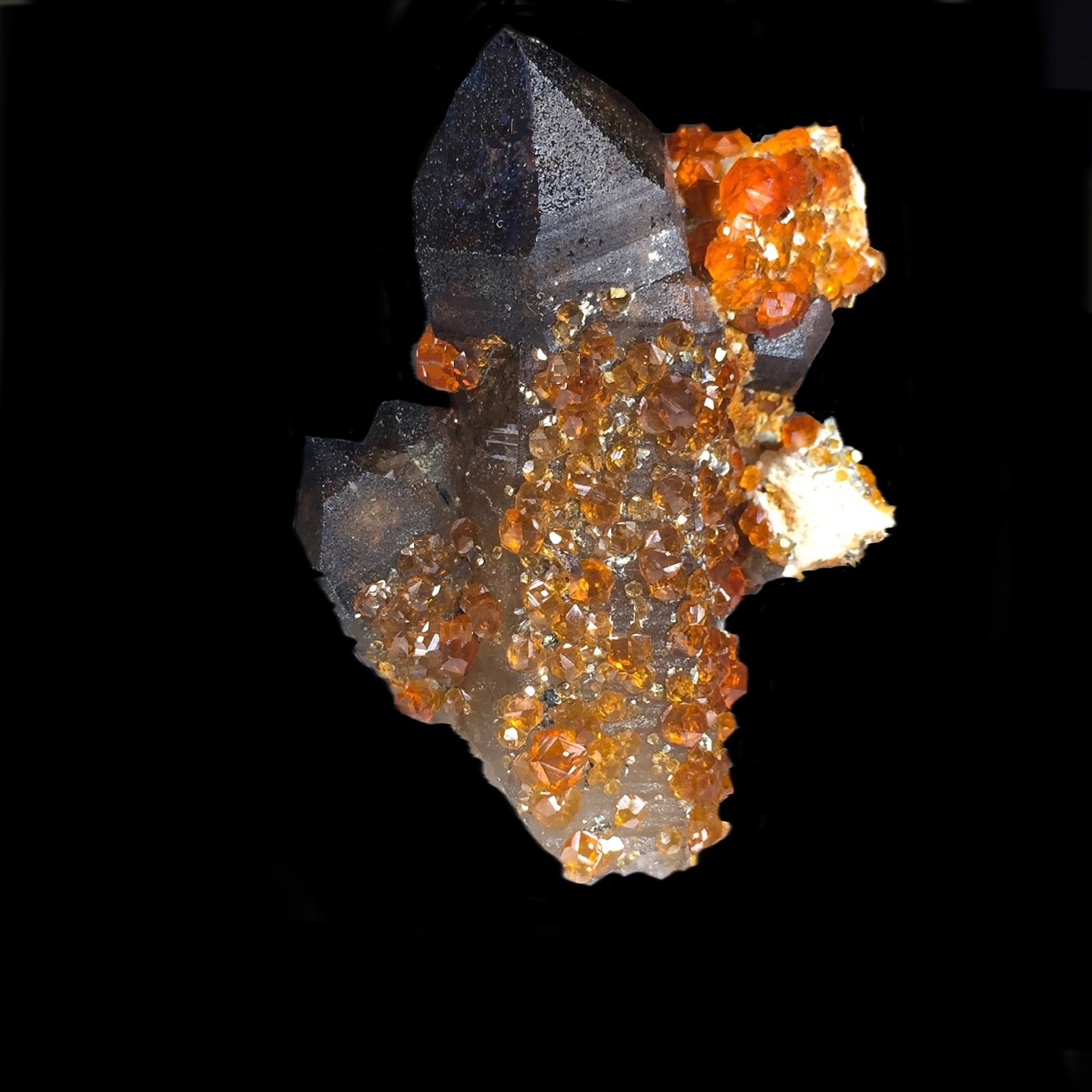 Cuarzo (variedad ahumado), Spessartina (Espesartina)
6,1 x 5,4 cm.
(Autor: Xavier bordas)