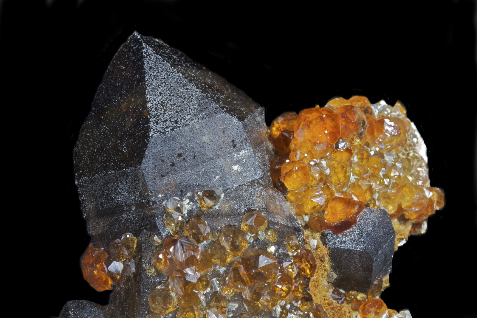 Cuarzo (variedad ahumado), Spessartina (Espesartina)
6,1 x 5,4 cm.
(Autor: Xavier bordas)