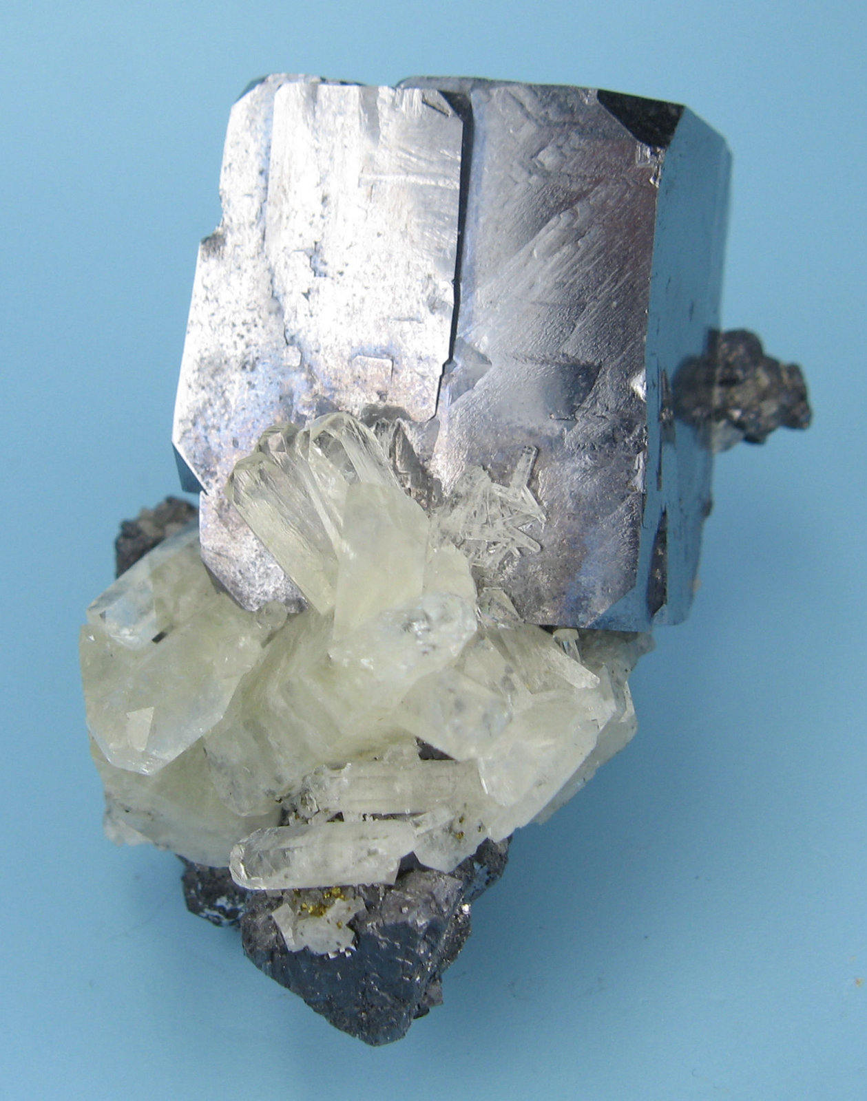 Galena, calcita, calcopirita
51 mm x 35 mm. Arista del cristal de galena: 27 mm. Masa: 155 g.
(Autor: Carles Millan)