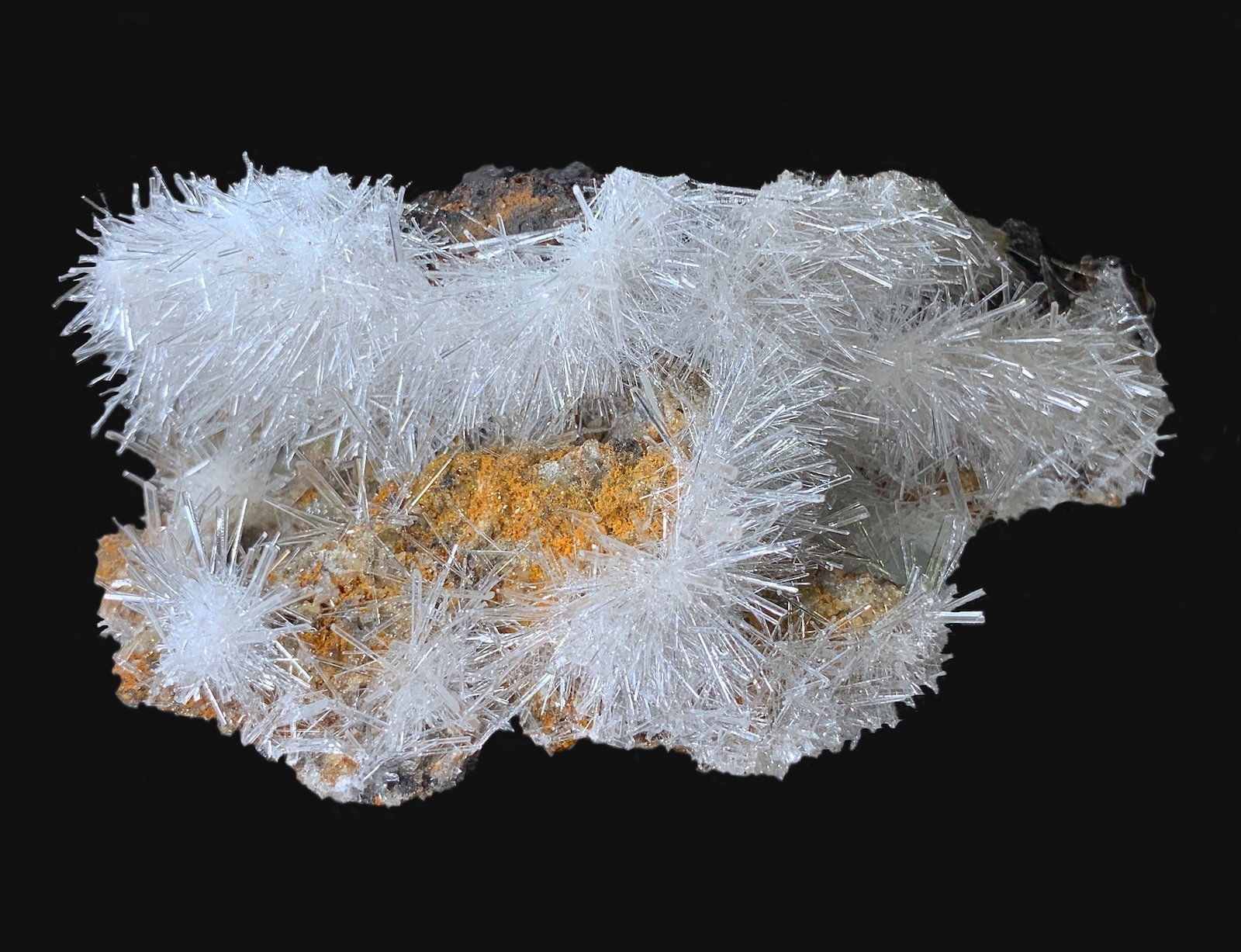 Yeso (variedad selenita)
9,9 x 8,1 x 5,8 cm.
(Autor: Xavier bordas)