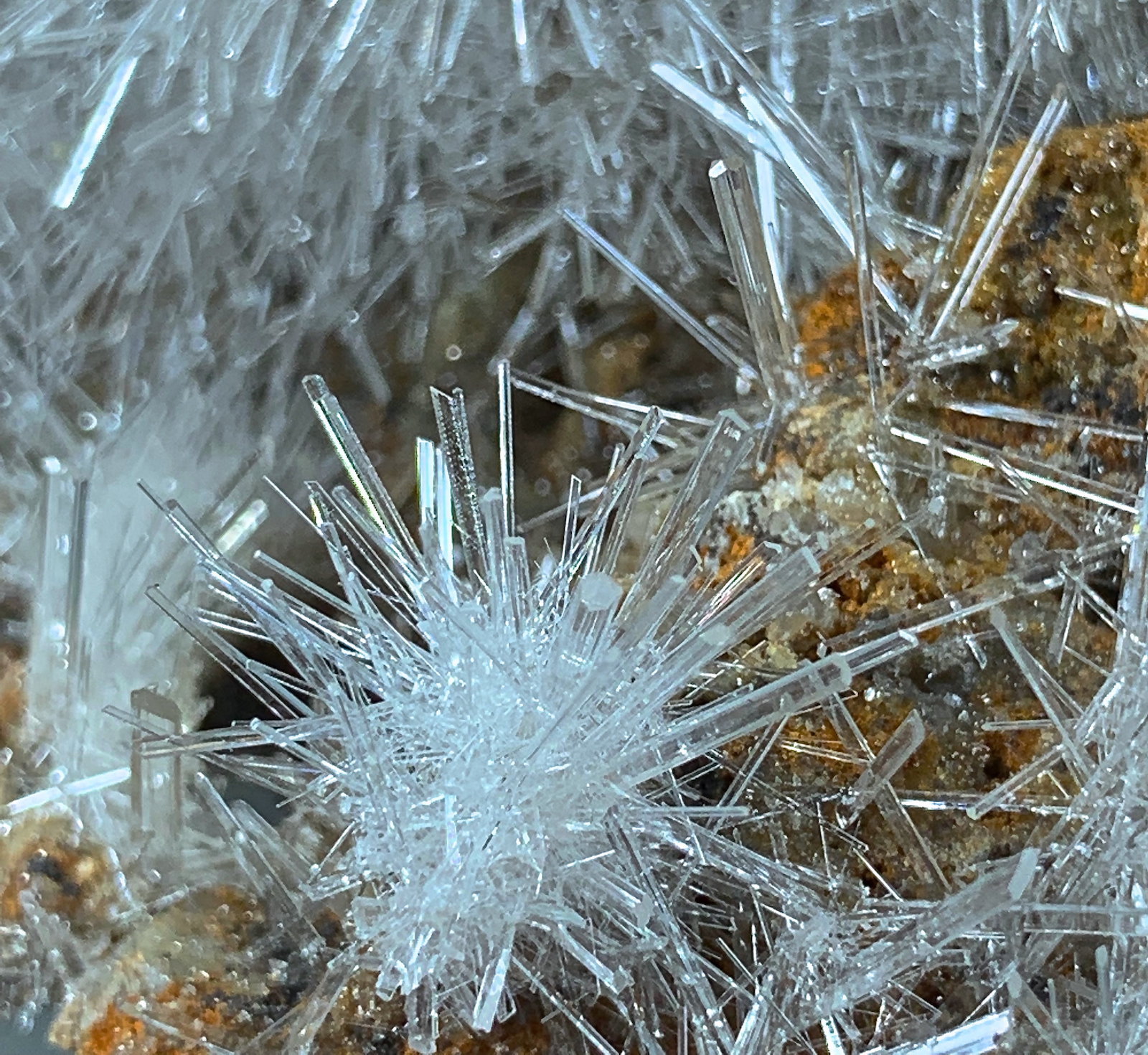 Yeso (variedad selenita)
9,9 x 8,1 x 5,8 cm.
(Autor: Xavier bordas)