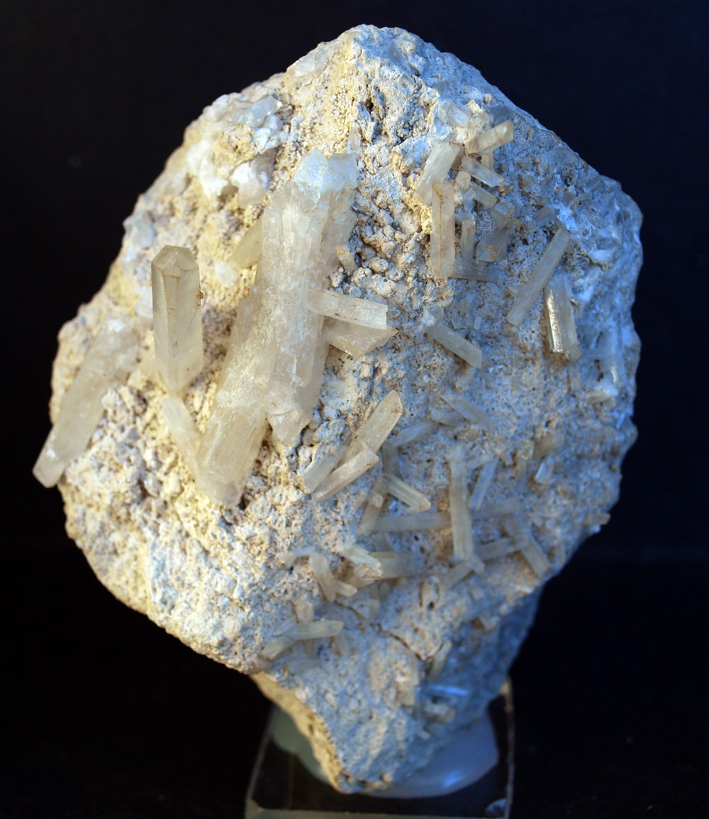 Celestina
9 x 7 cm
(Autor: Pedro Antonio)