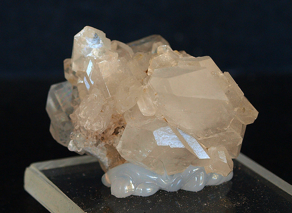 Celestina
3.5 x 2.5 cm
(Autor: Pedro Antonio)