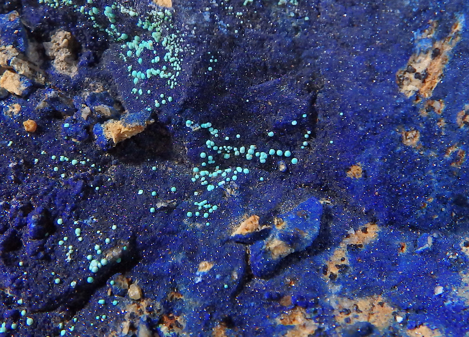 Azurita y Theisita
Encuadre 2,5 x 2 cm aprox.
(Autor: heat00)