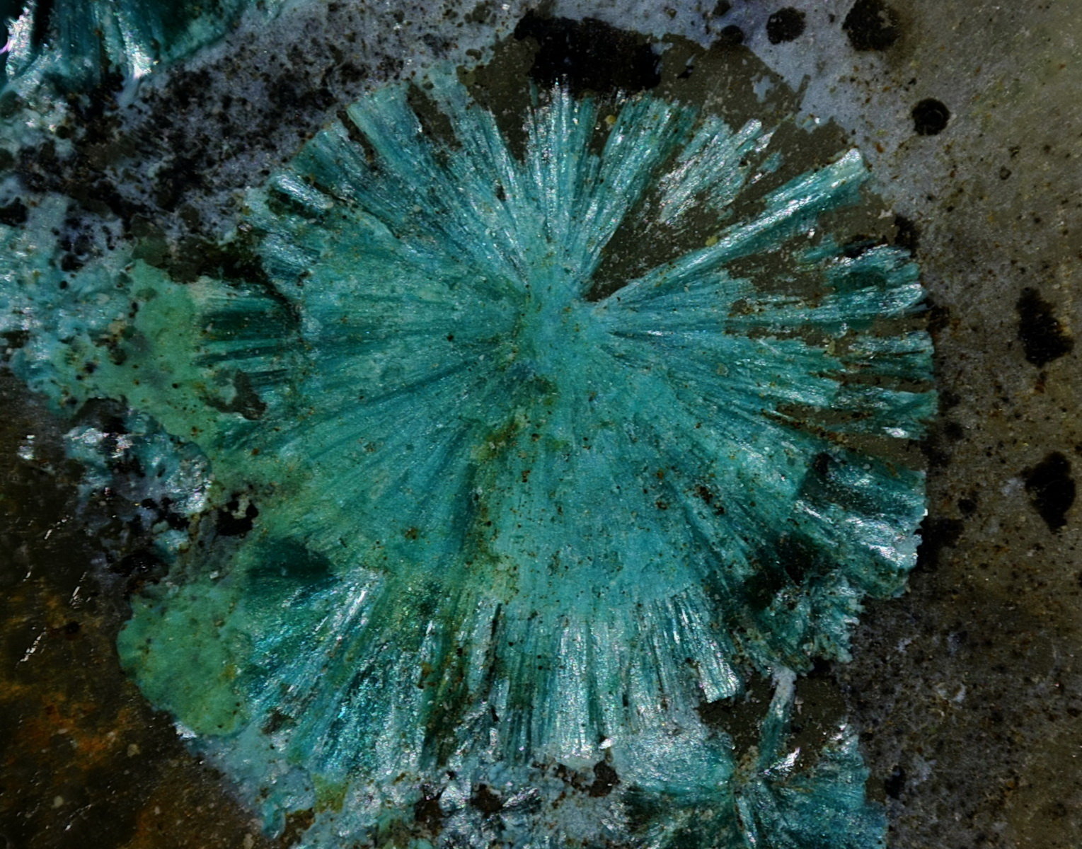 Tyrolita (Tirolita)
Cristal 3 mm
(Autor: Jorgina-Agusti-Màrius)