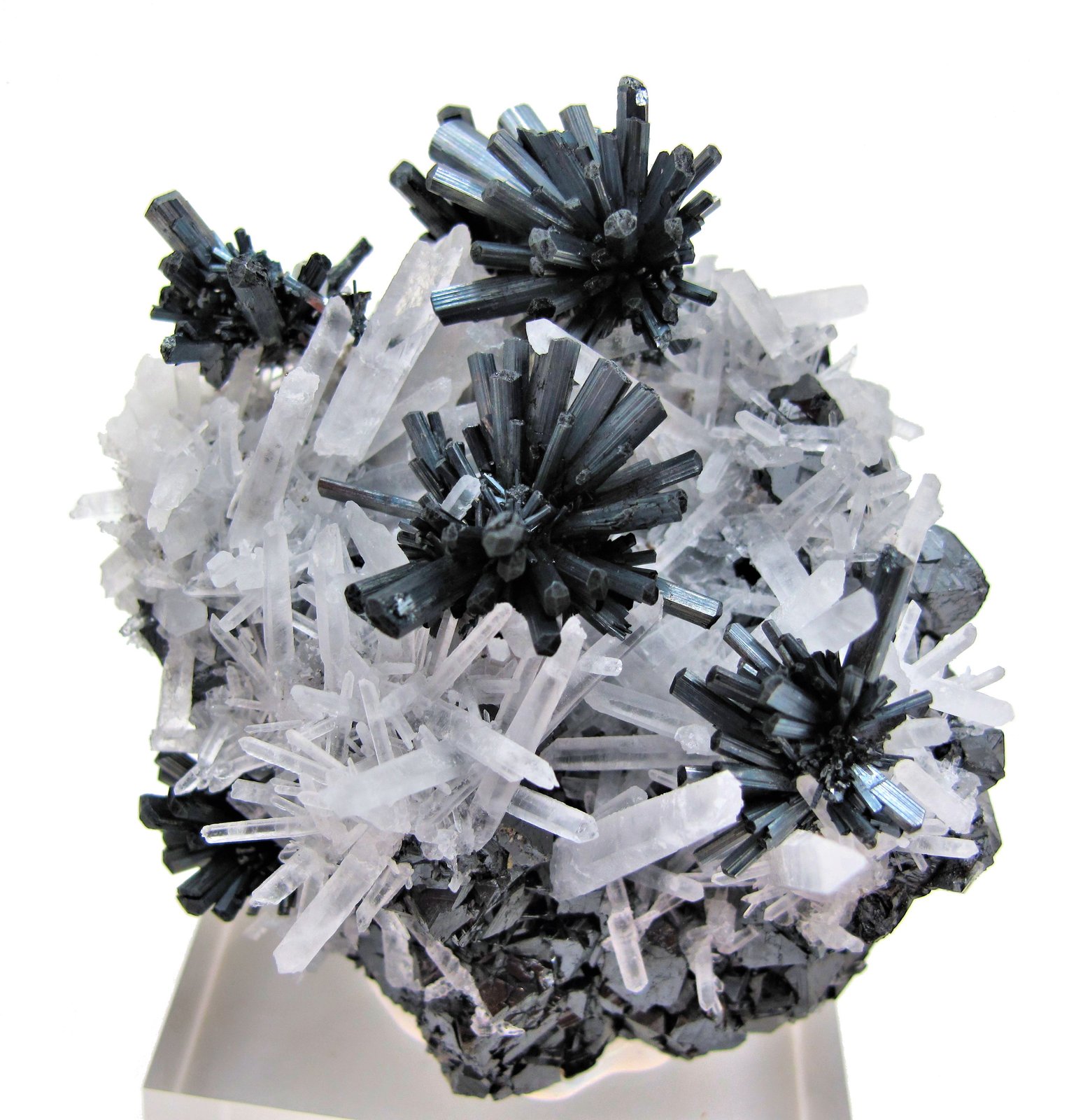 Estibnita (estibina), cuarzo, esfalerita
67 mm x 62 mm
(Autor: Carles Millan)
