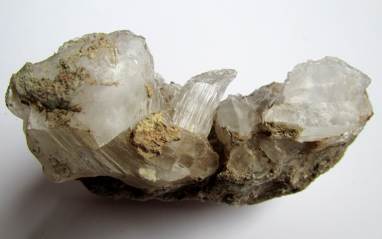 Yeso
8'6 x 6 cm.
(Autor: Jordi Franco)