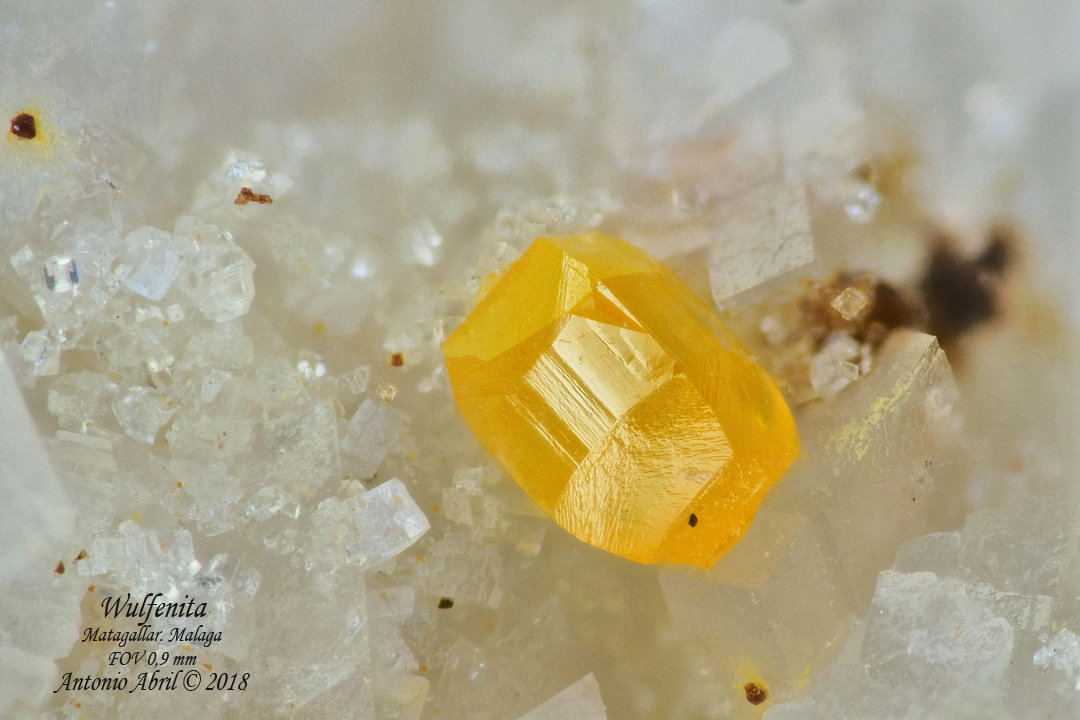 Wulfenita
0.9 mm
(Autor: Antonio Abril)