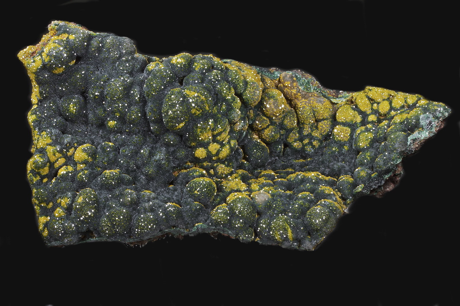Malaquita, Piromorfita
12,7 x 6,8 cm.
(Autor: Xavier bordas)
