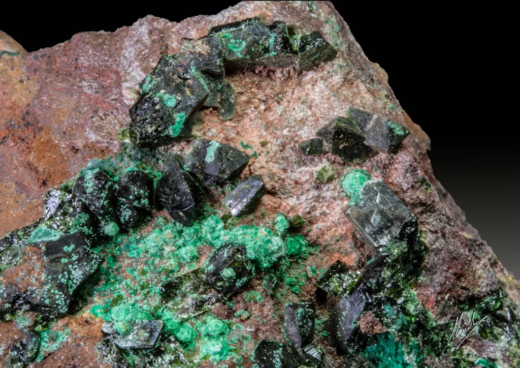 Libethenita
Cristales de hasta 4 mm
(Autor: Manuel Mesa)