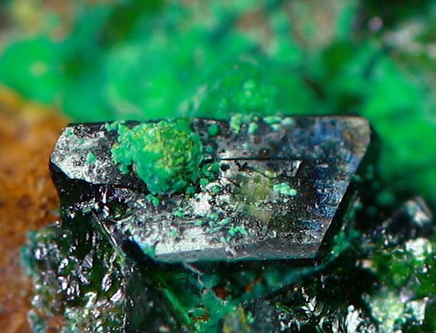 Libethenita
Encuadre: 6 mm
(Autor: Manuel Mesa)