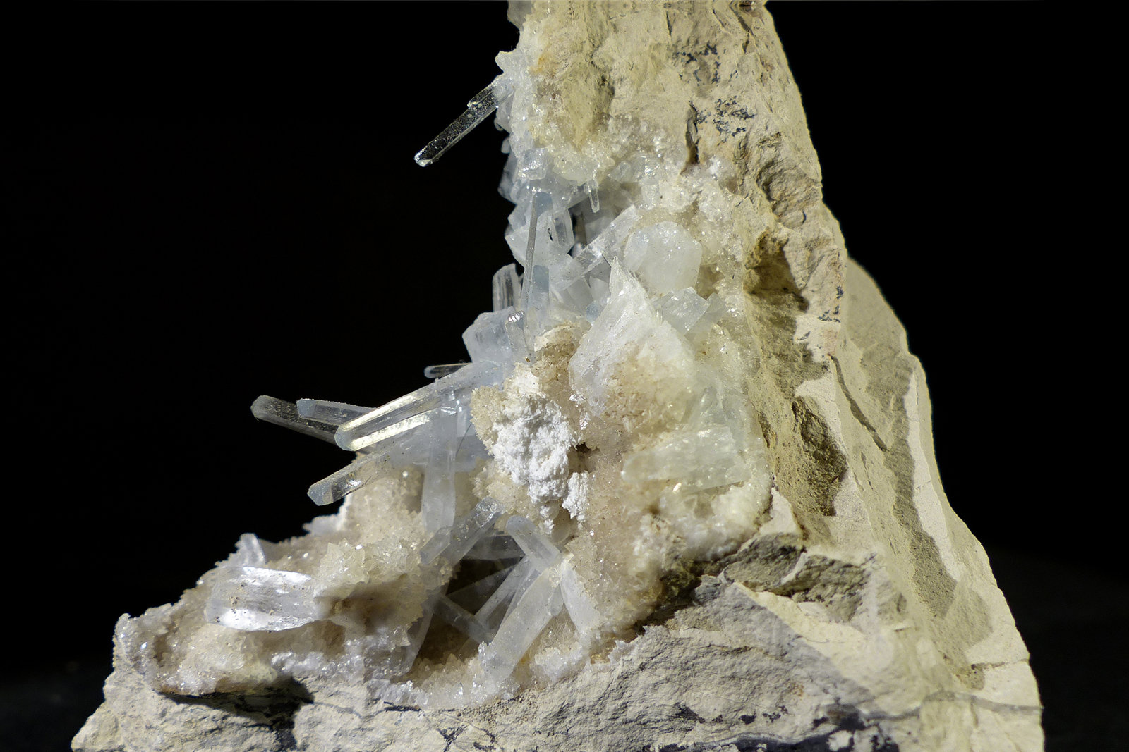 Celestina
6 x 7 x 4 cm
(Autor: Javier Rodriguez)
