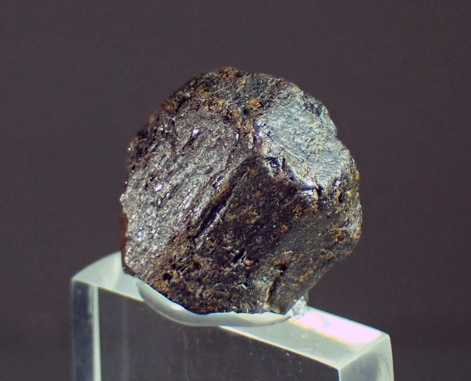 Rutilo
Medida: 1,6 x 1,4 x 1,2 cms
(Autor: Joan Martinez Bruguera)