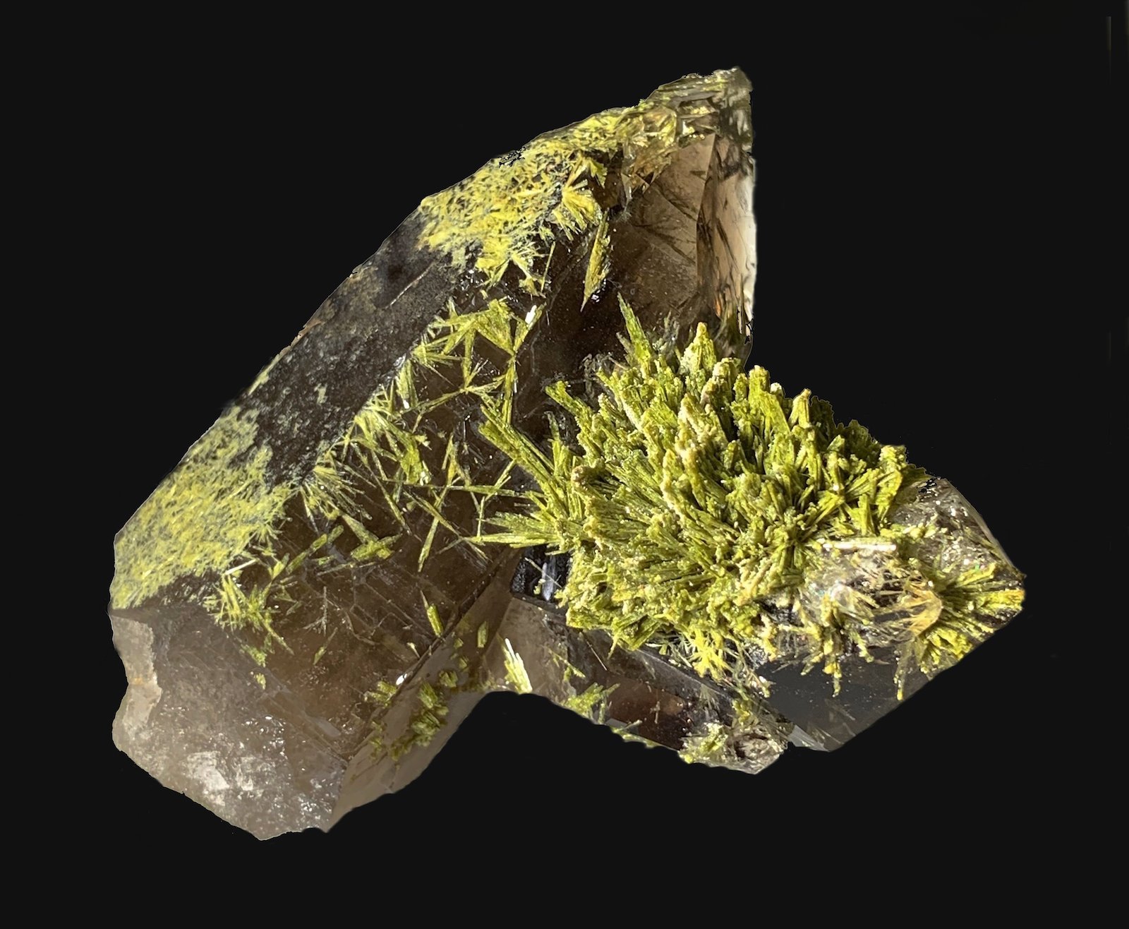 Cuarzo (variedad ahumado), Epidota
6,7 x 5,5 cm.
(Autor: Xavier bordas)